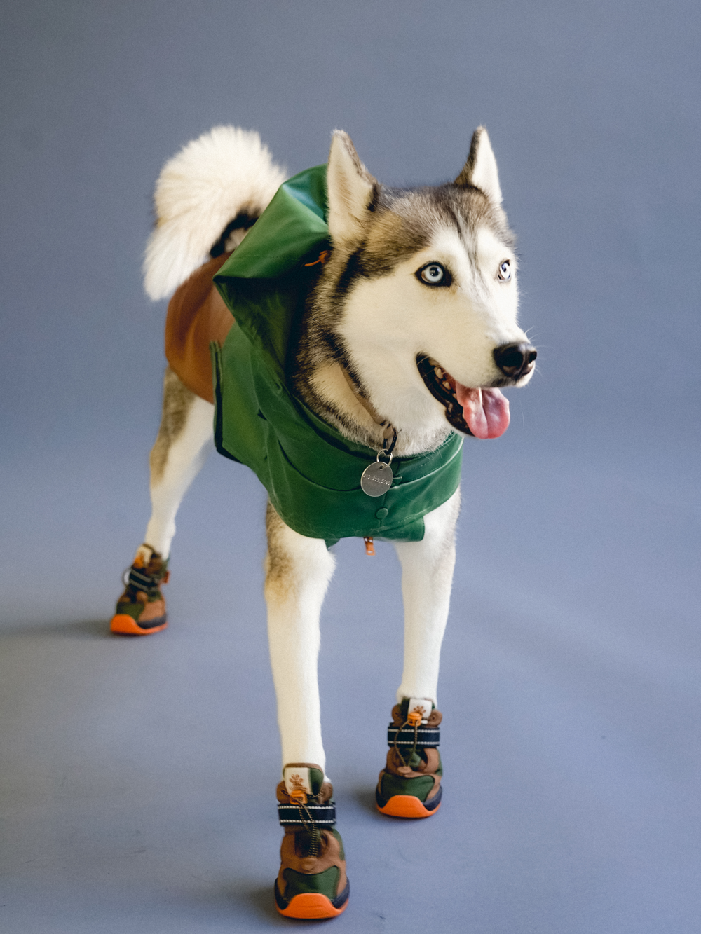 RIFRUF Apollo 1 Waterproof Dog Boots Truffle