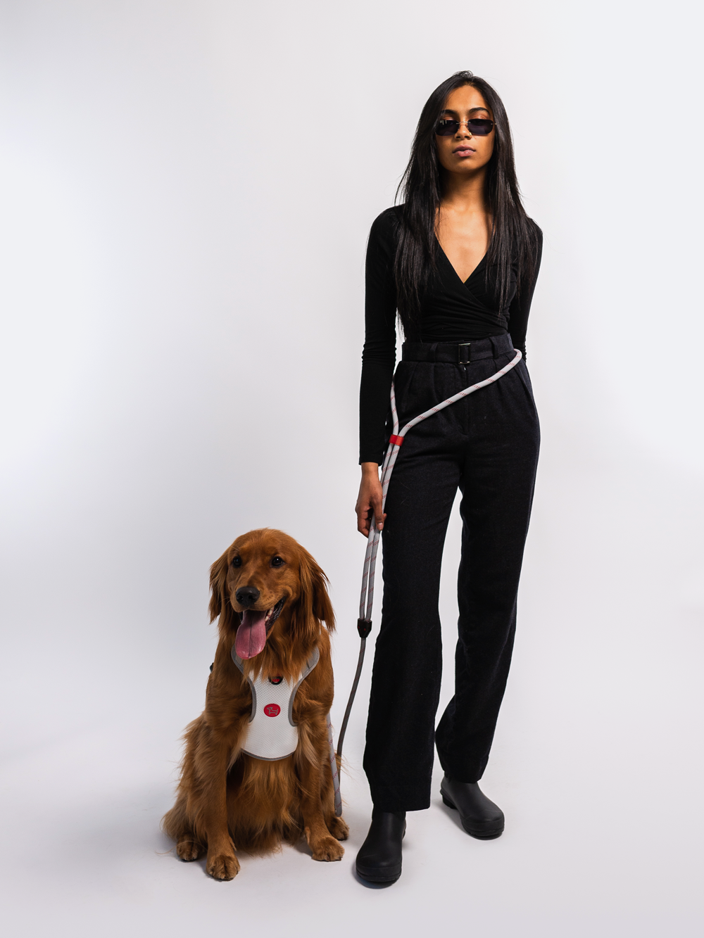 RIFRUF Commuter Hands-Free Dog Leash