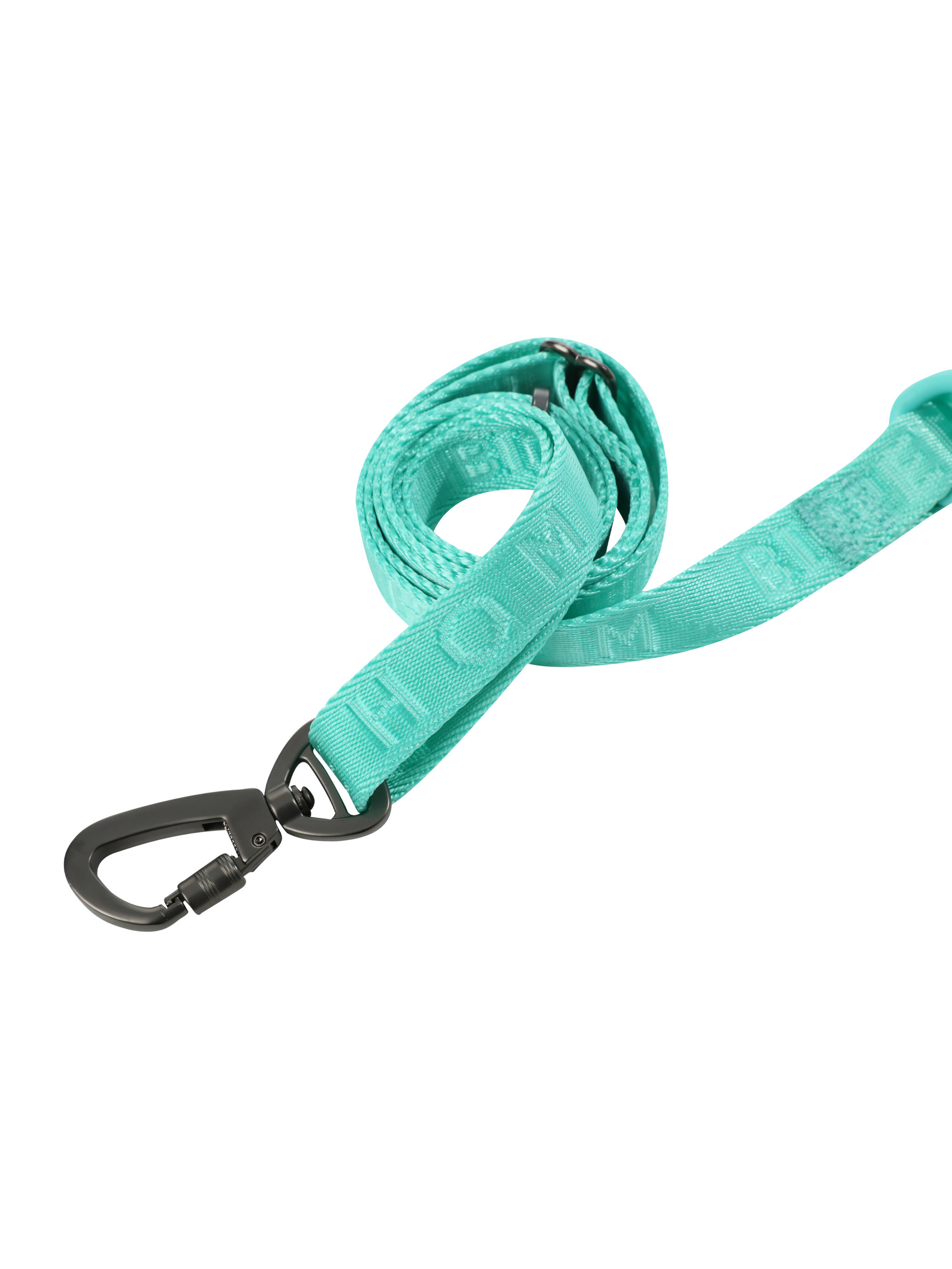 Padded Active Pet Leash-Mint Green