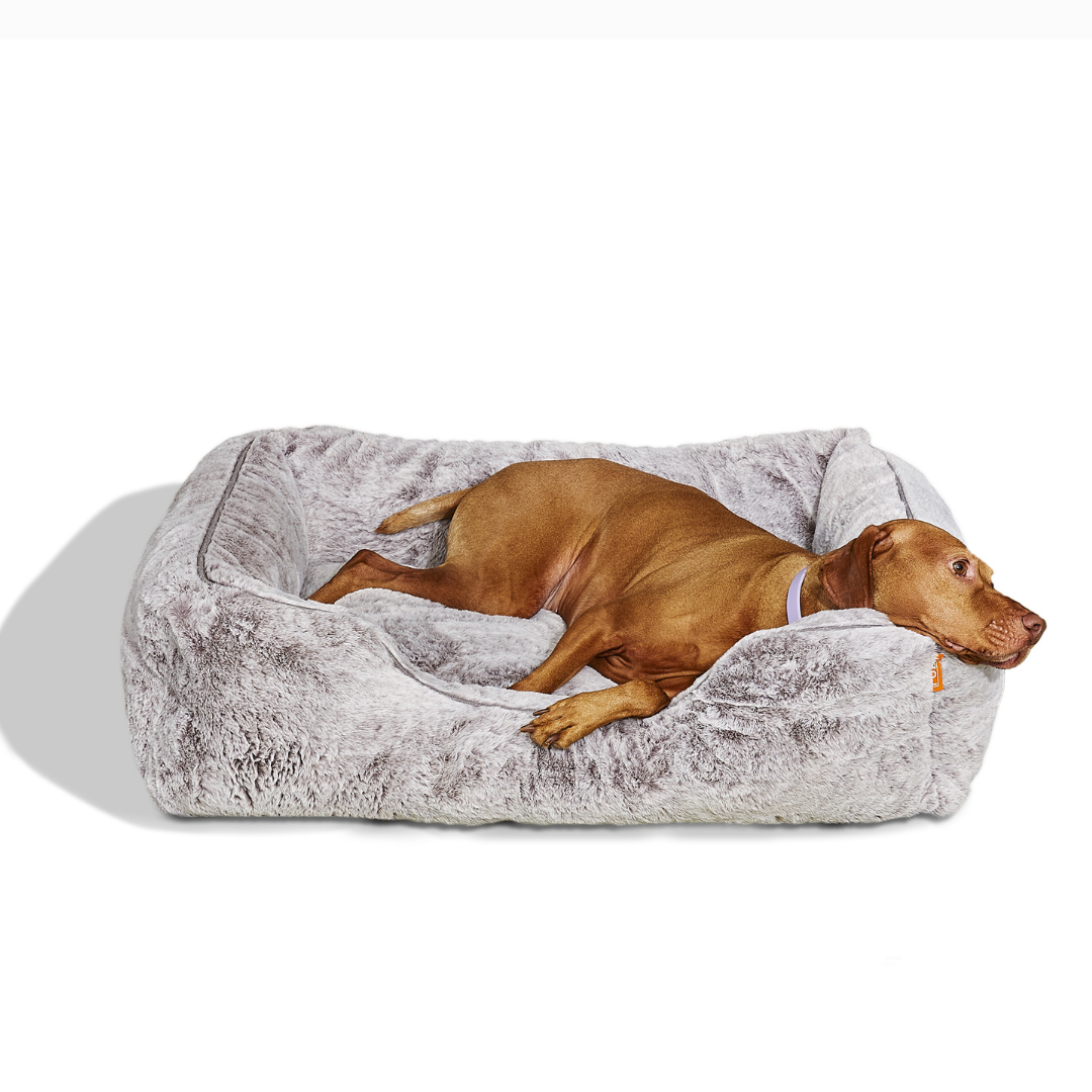 Sammy Dog Bed Cover in Light Grey, lifestyle with dog resting