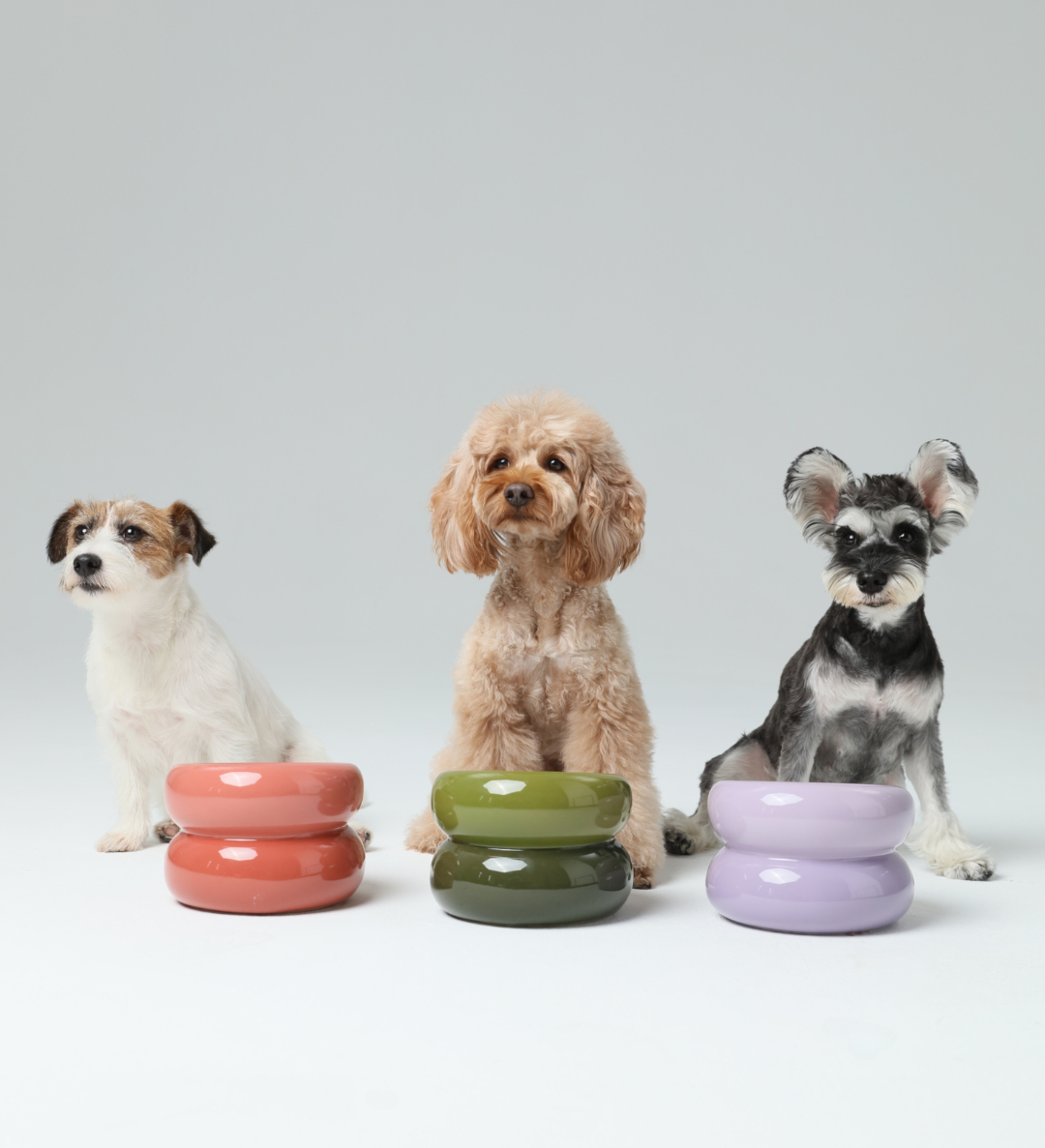 Souffle Pet Bowl-Purple