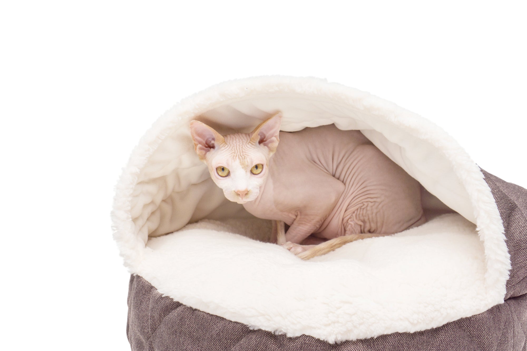 Cover Cat Bed