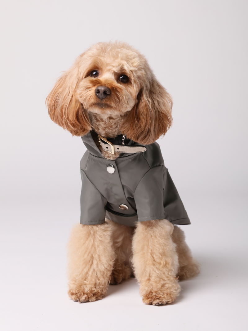 Bowery Raincoat-Gray