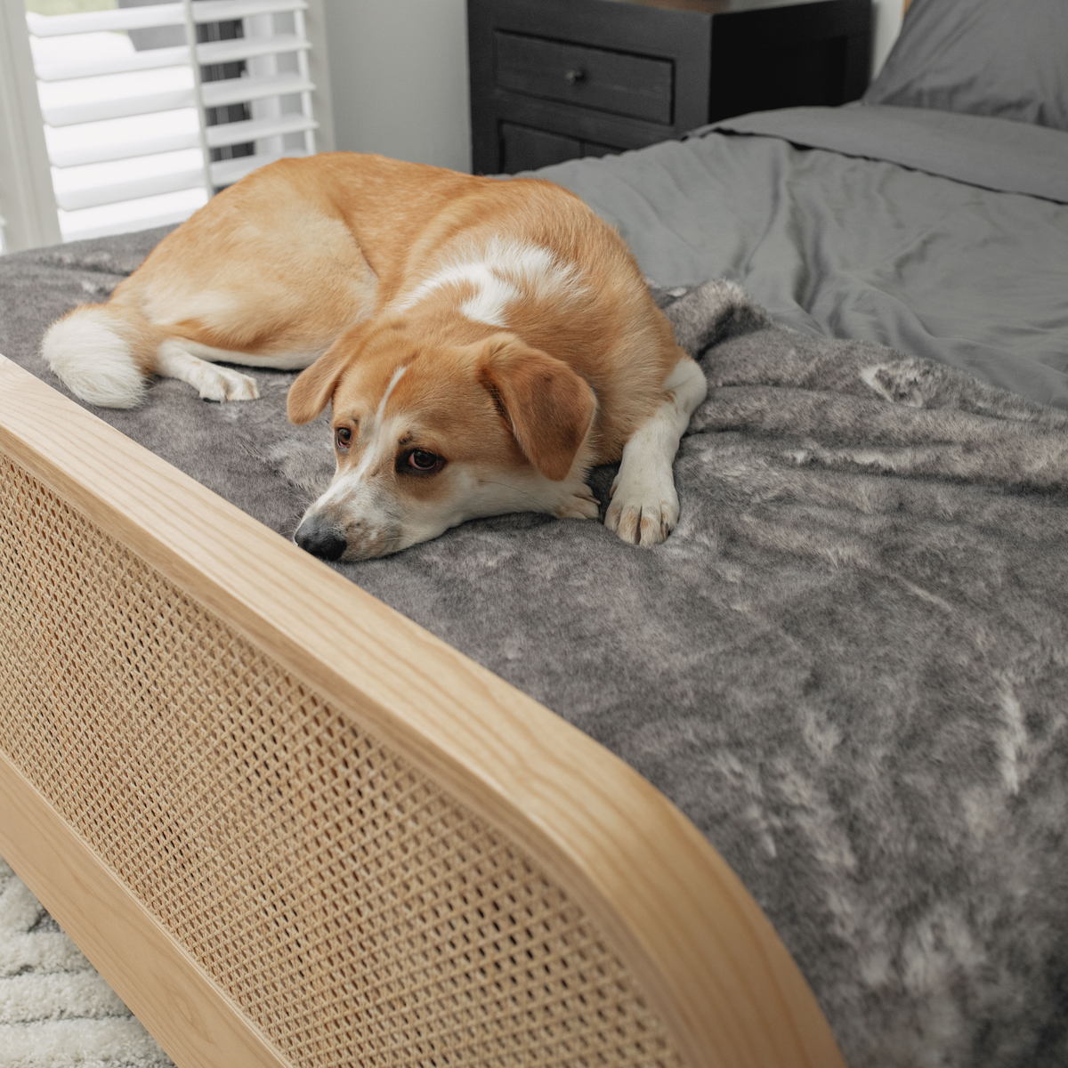 PupProtector Luxe Waterproof Bed Runner Ultra Soft Chinchilla