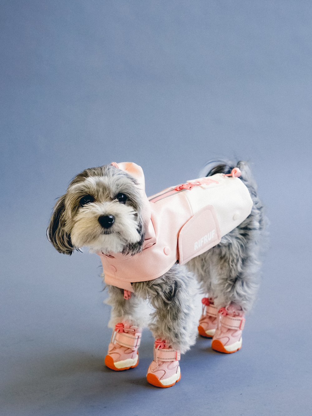 RIFRUF Apollo 1 Waterproof Dog Boots Truffle