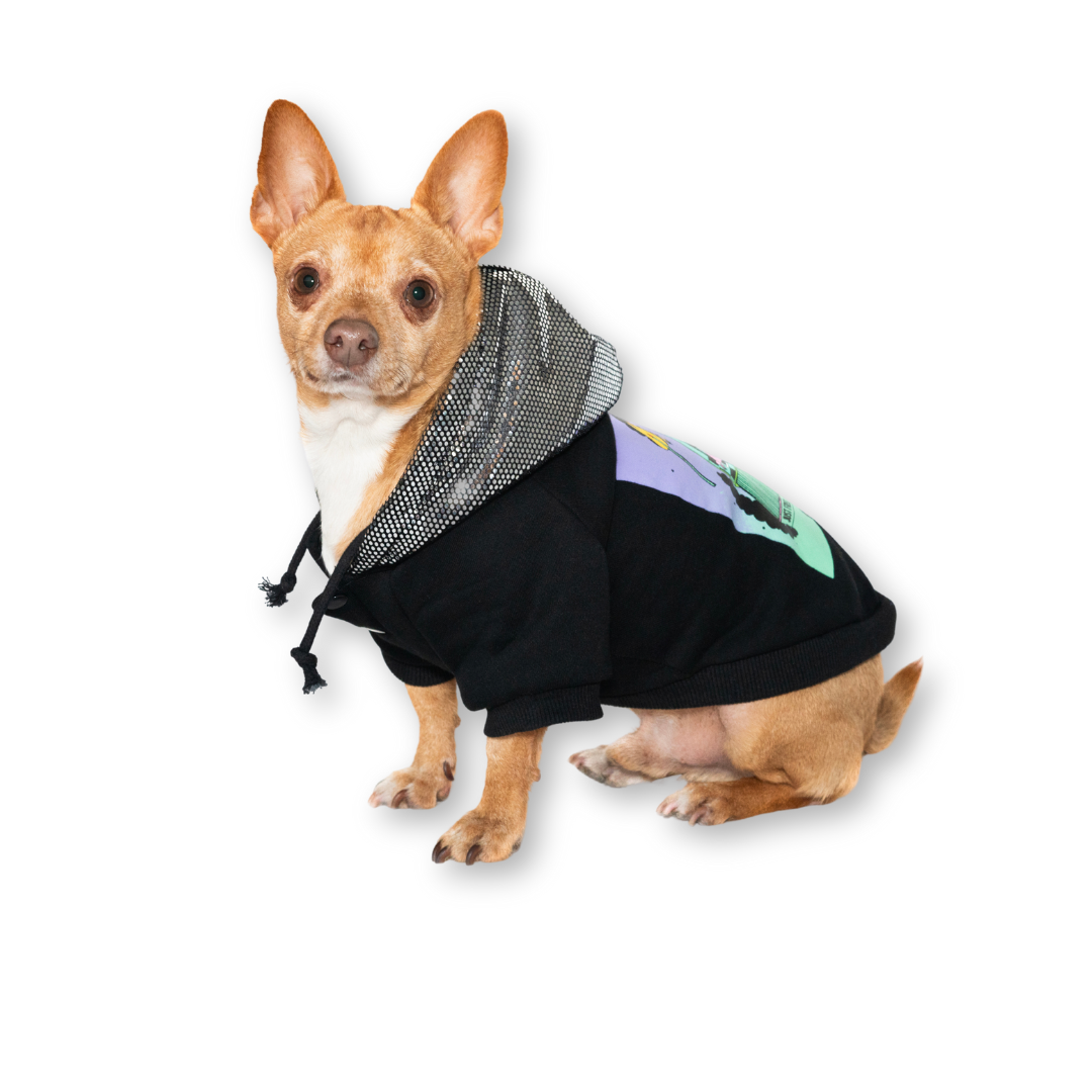 Ziggy Hoodie