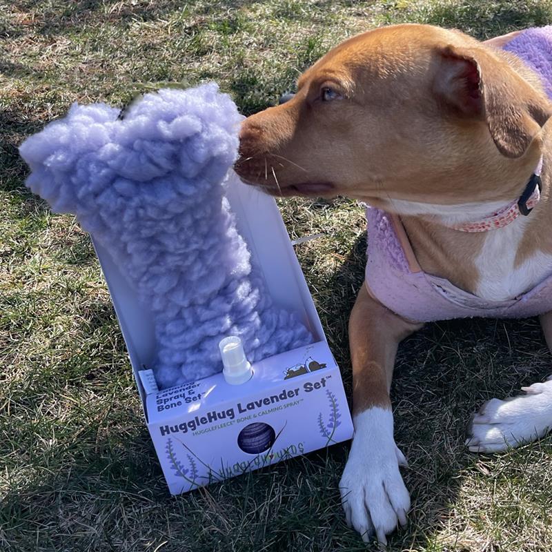 HuggleHugTM Lavender Bone & 2oz Calming Spray Dog Toy Set