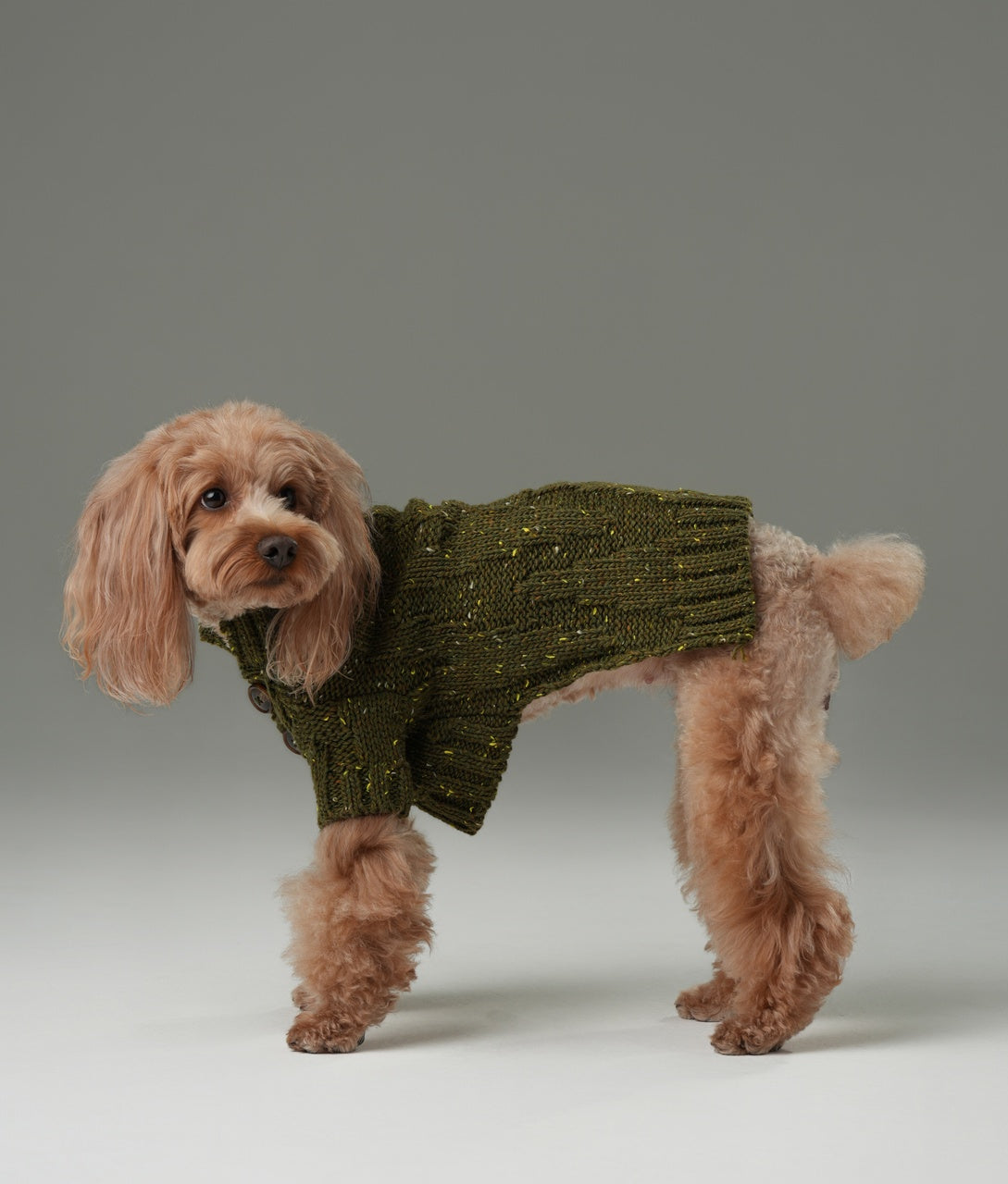Glacier Pet Sweater-Olive Green