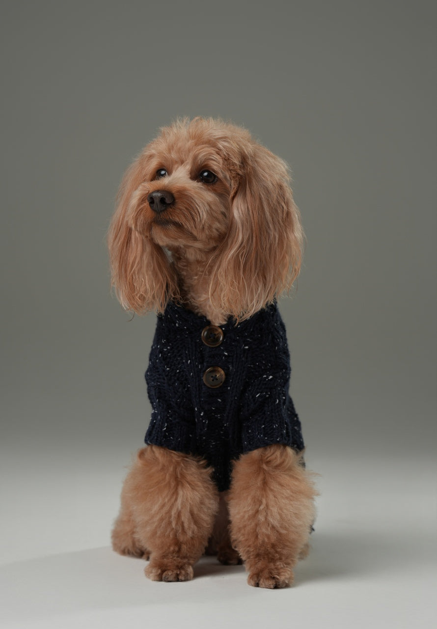 Glacier Pet Sweater-Navy