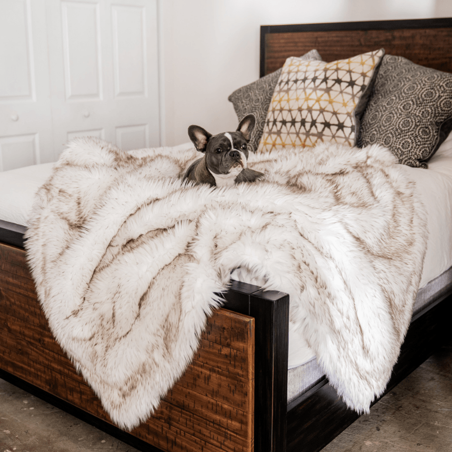 PupProtector Waterproof Throw Blanket White with Brown Accents 