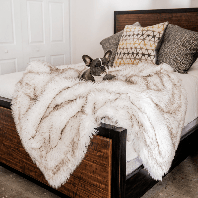 PupProtector Waterproof Throw Blanket White with Brown Accents 