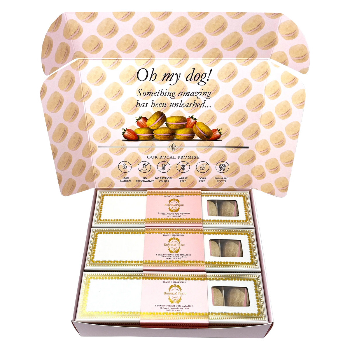 Bonne et Filou – 18-Piece French Dog Macaron Gift Box