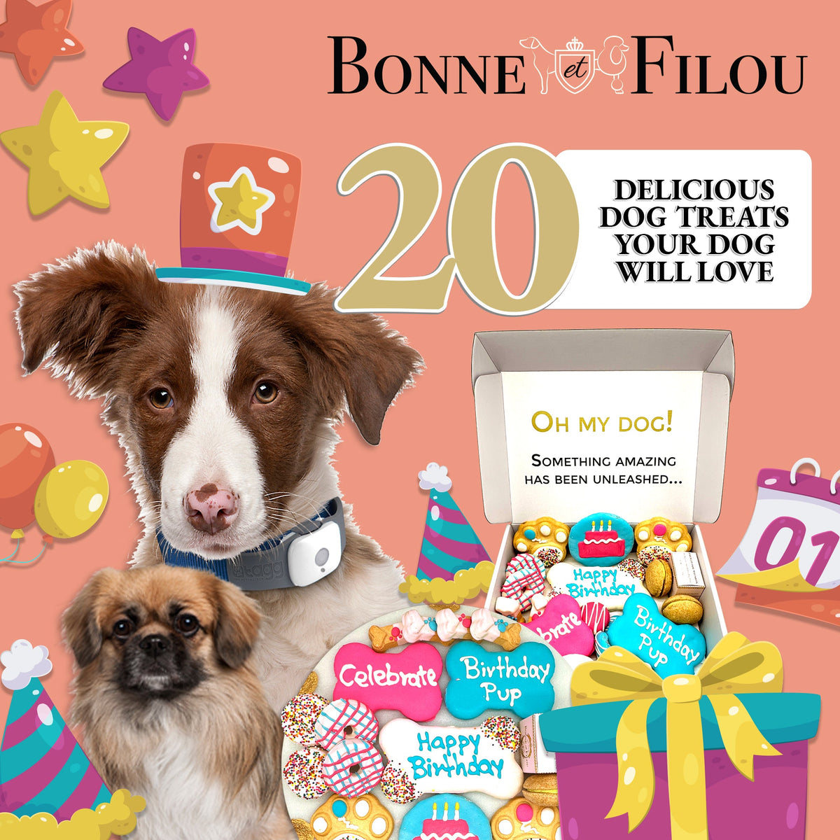 Bonne et Filou – Happy Birthday Dog Treat Gift Box