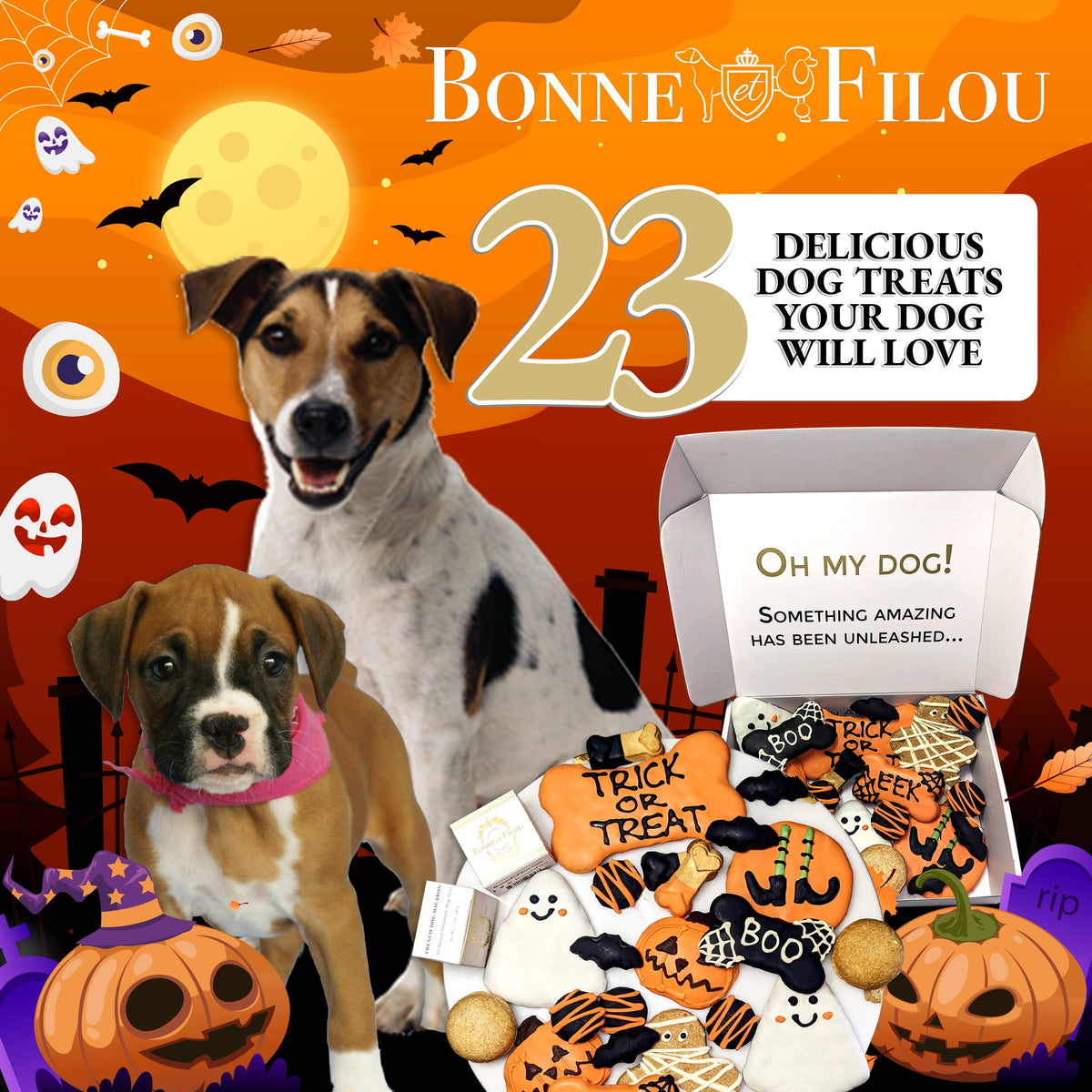 Bonne et Filou – Halloween Dog Treat Gift Box