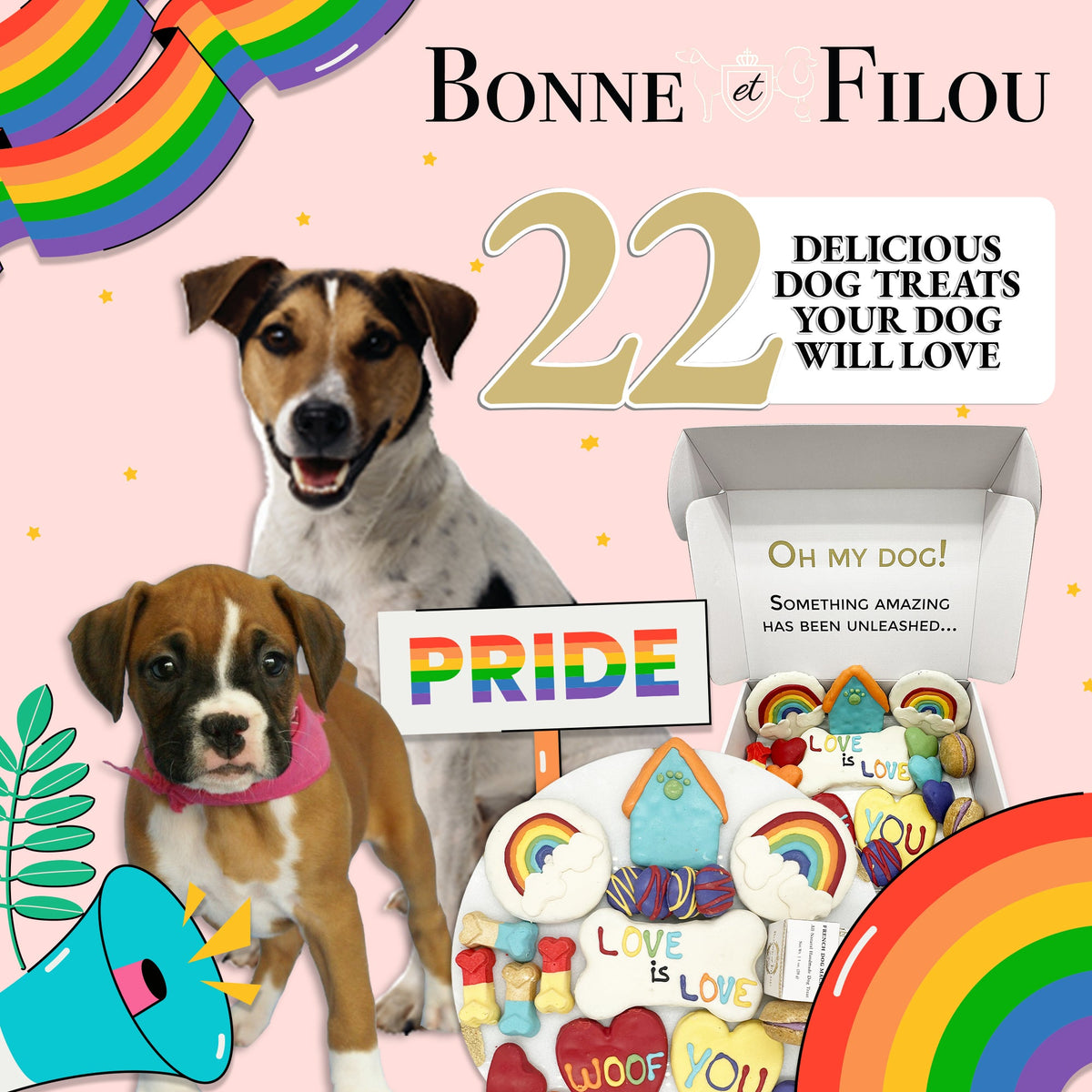 Bonne et Filou – Pride Dog Treat Gift Box