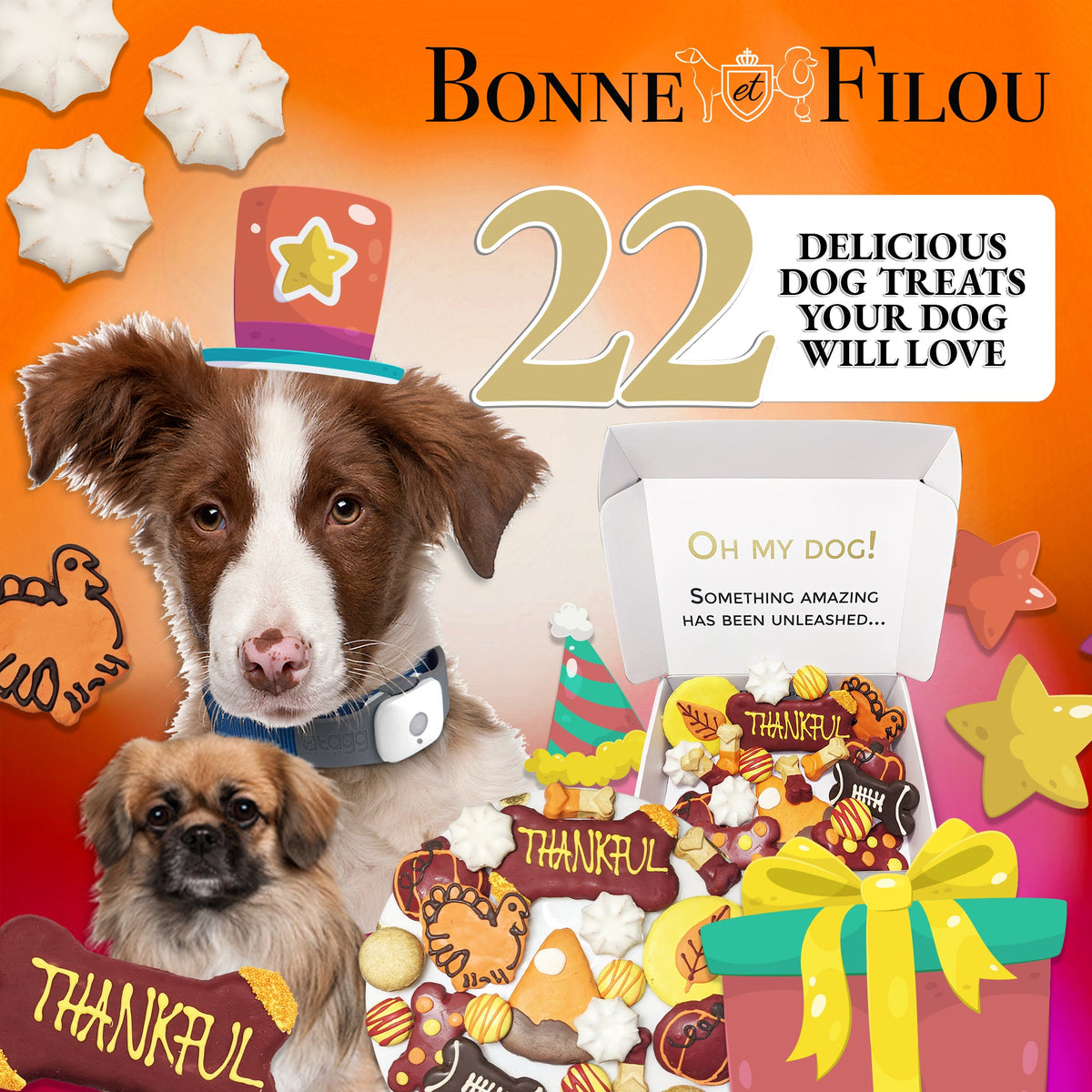 Bonne et Filou – Thanksgiving Dog Treat Gift Box