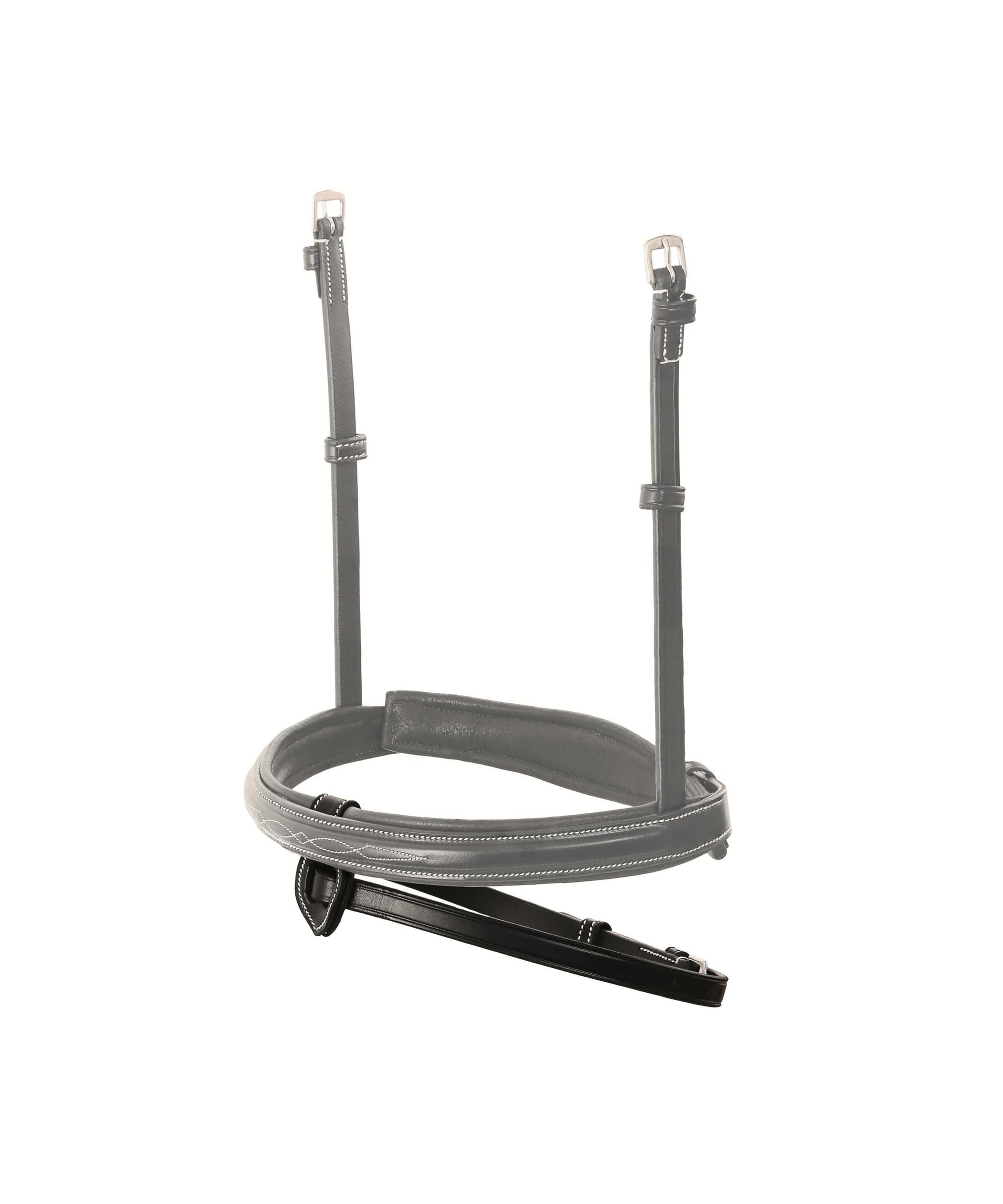 ExionPro Flash Noseband Attachment - HT Animal Supply