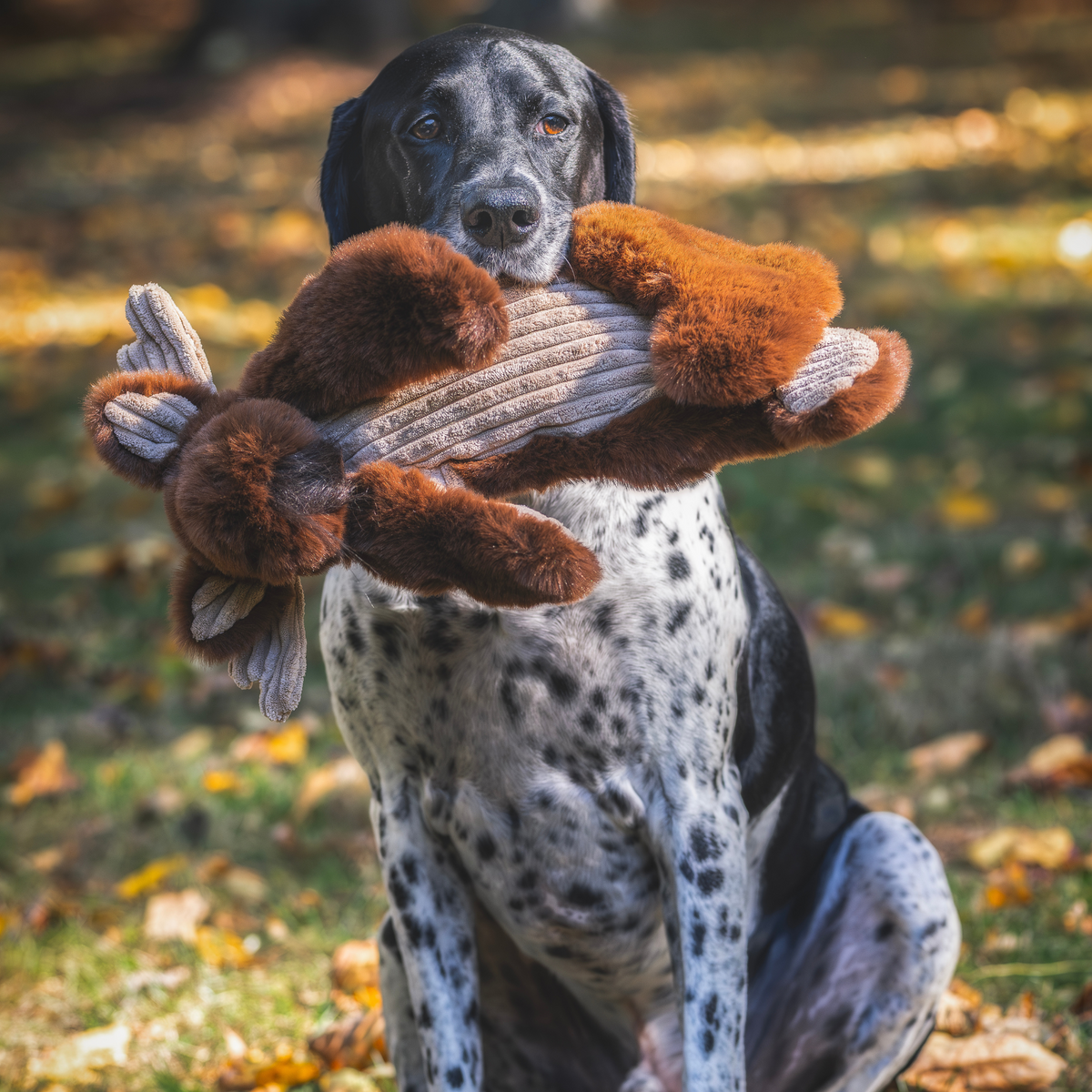 Maple Moose X-BraceTM Durable Plush Dog Toy