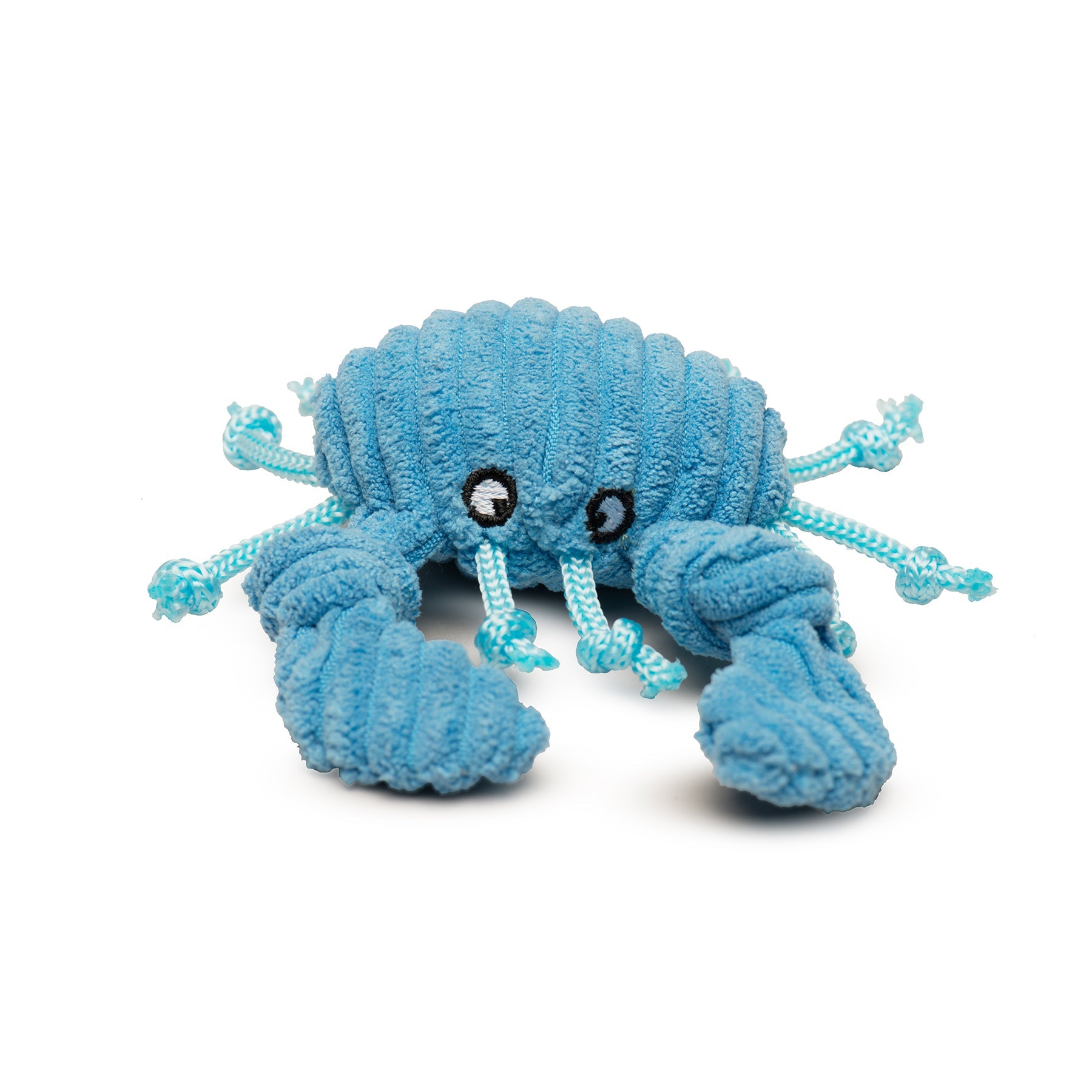 Raw Bar Wee Huggles Plush Dog Toys, 3 pack
