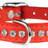 Orange Signature Leather Crystal Collar