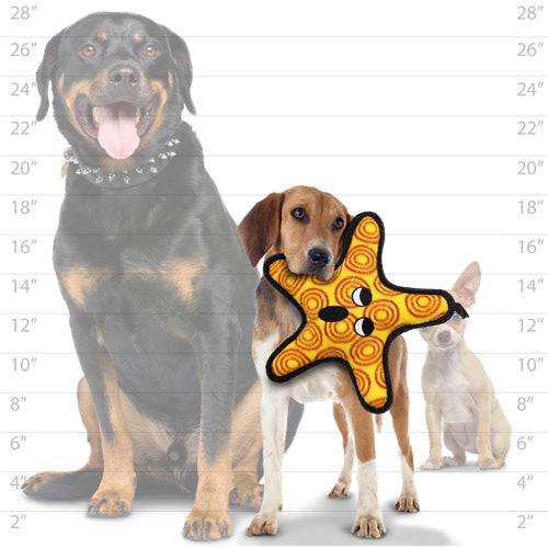 tuffy® Ocean Creature Series - The "General"  Starfish