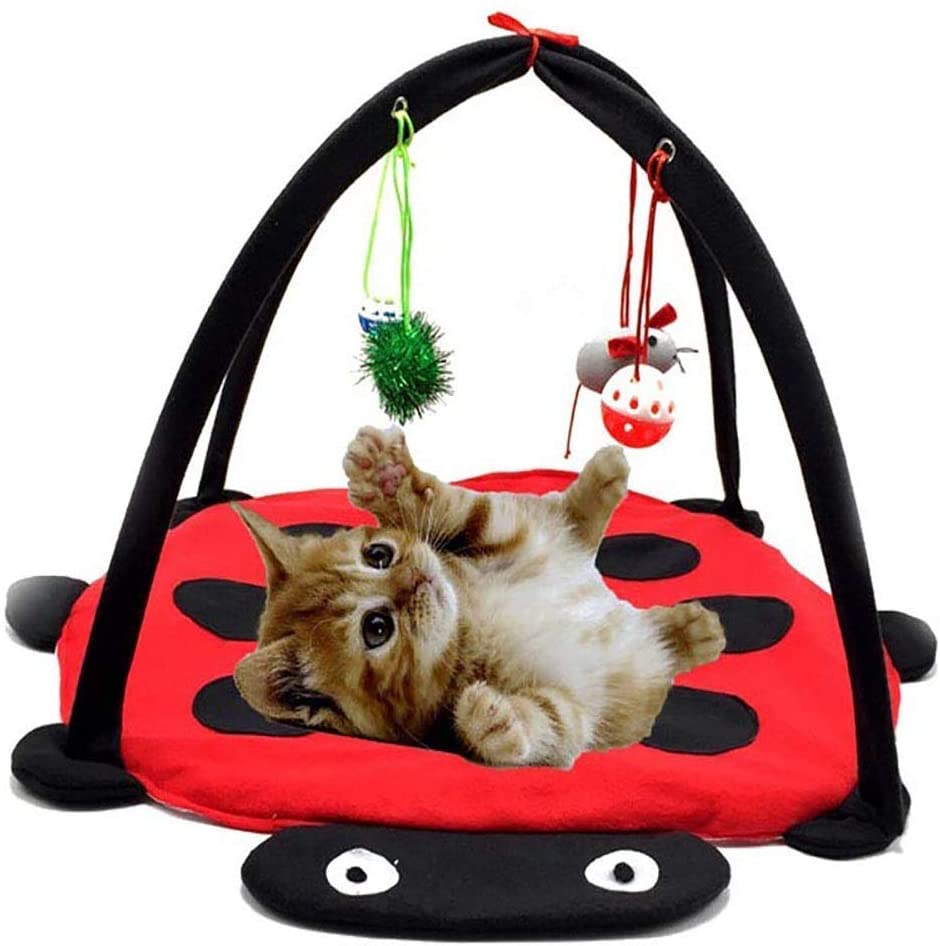 Black Ladybug Cat Play Mat | HT Animal Supply
