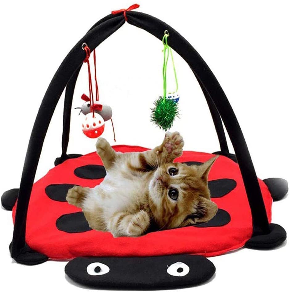 Black Ladybug Cat Play Mat | HT Animal Supply