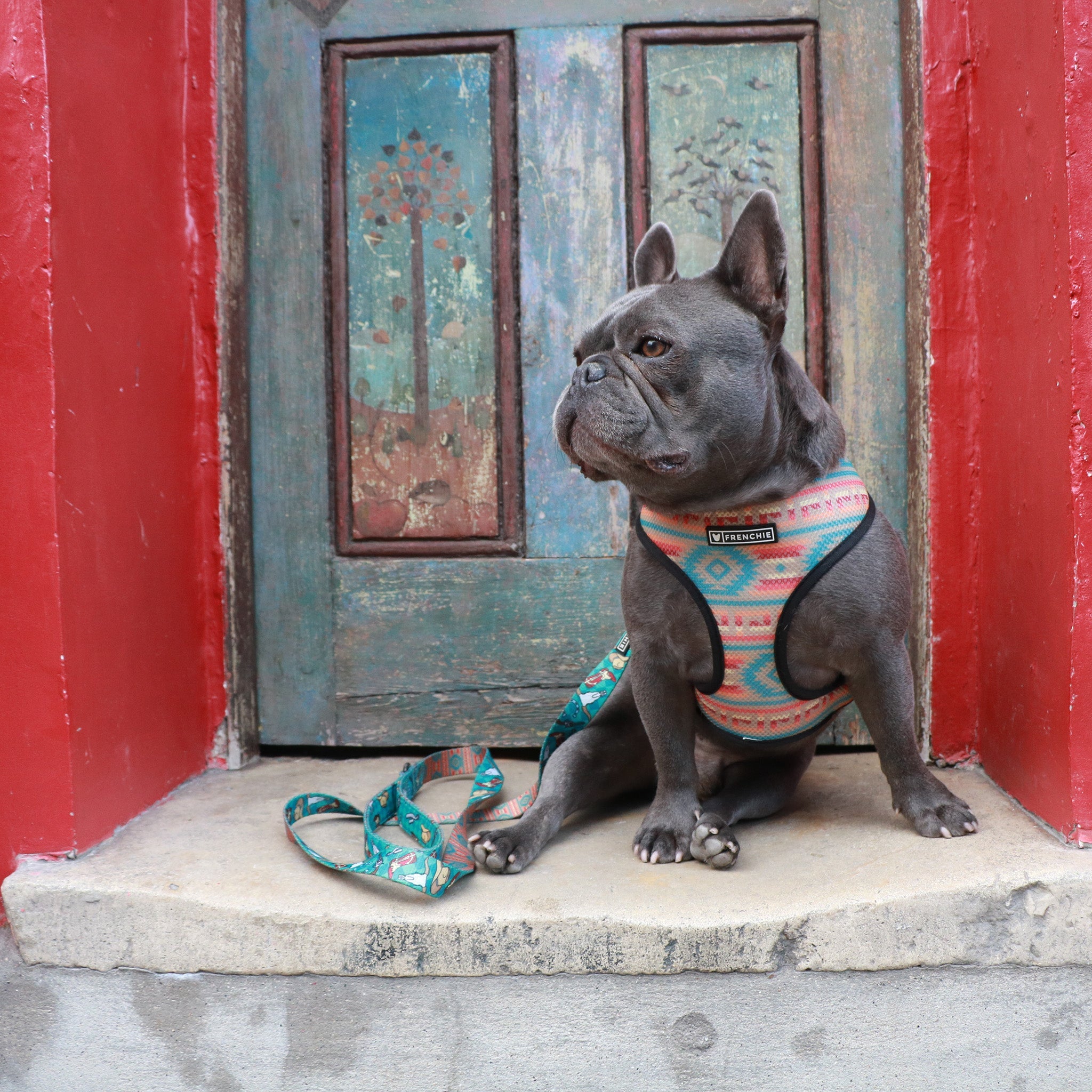 Frenchie Duo Reversible Harness - Wild West