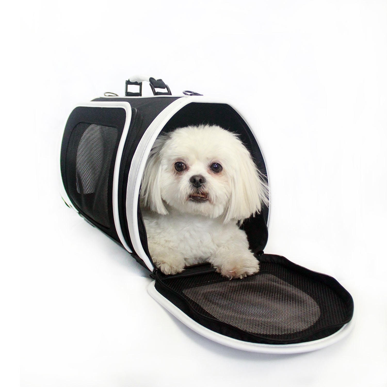 Kelle Black & White Carrier