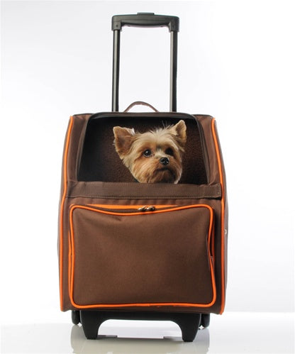 Rio Classic - Orange Zest