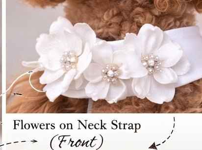 Heads or Tails Pup White Ceremony Dog Dress