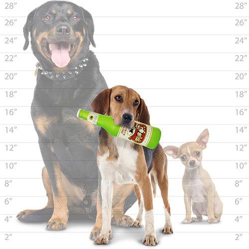 Silly Squeakers®  Beer Bottle - SmellaRCrotch