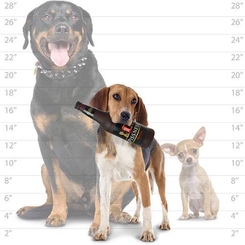 Silly Squeakers®  Beer Bottle - Pissness