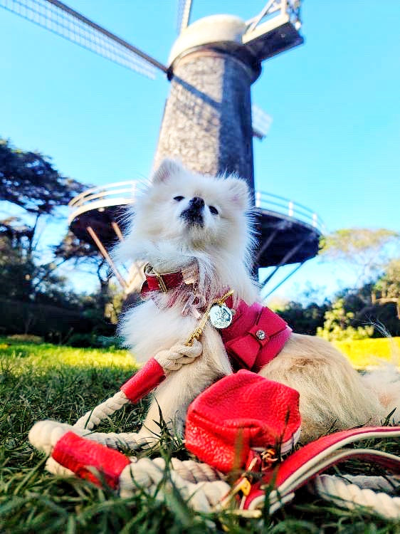 Harness - Melting Hearts