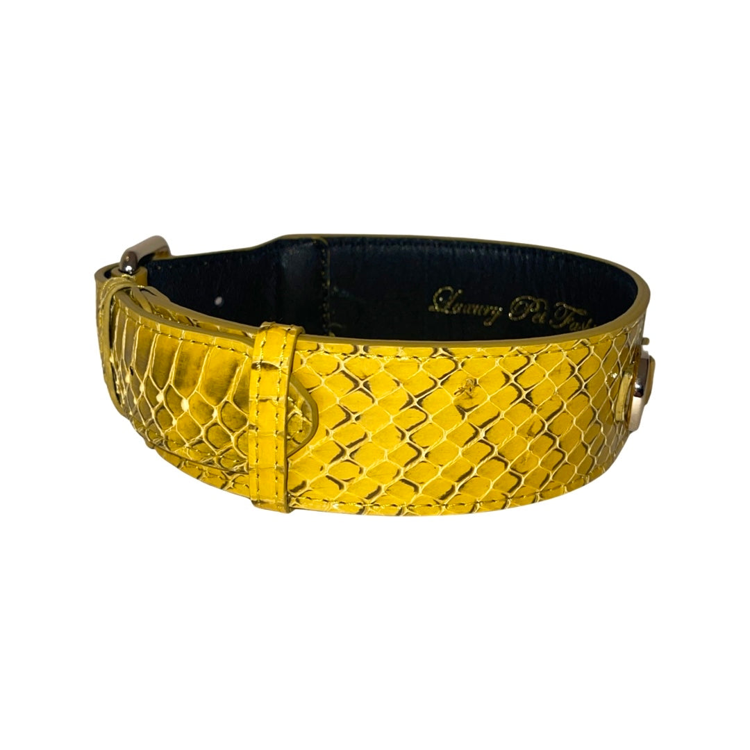 Allysa Payne Mustard Yellow & Black Snake Classic Dog Collar