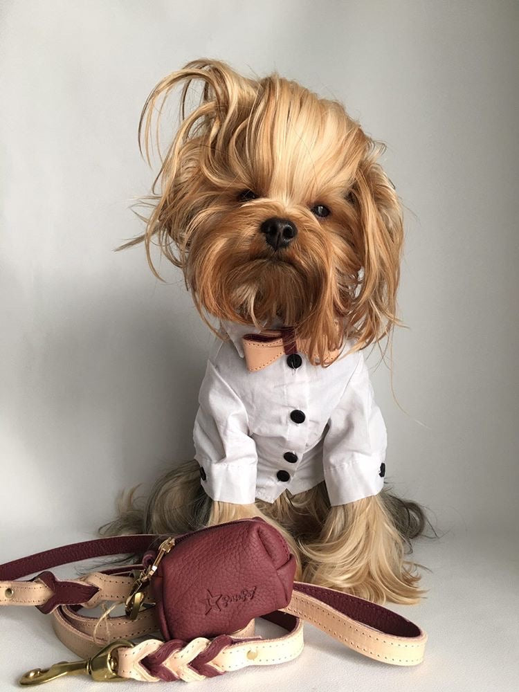Waste Bag Holder - Luscious Bow
