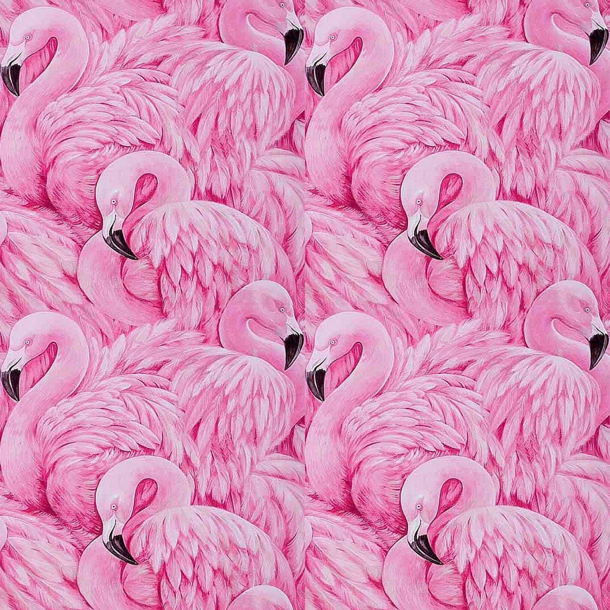 The Flock of Flamingos Dog Harness