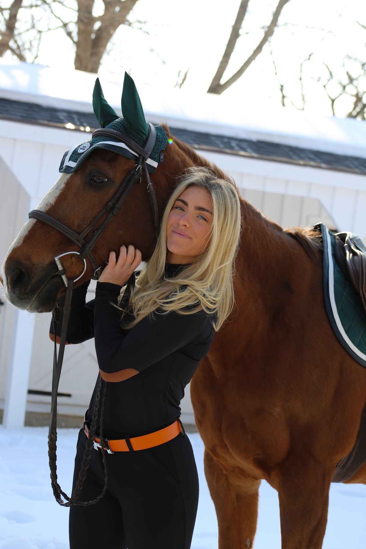 San Eligius green knit horse bonnet with black and white leather piping on horse