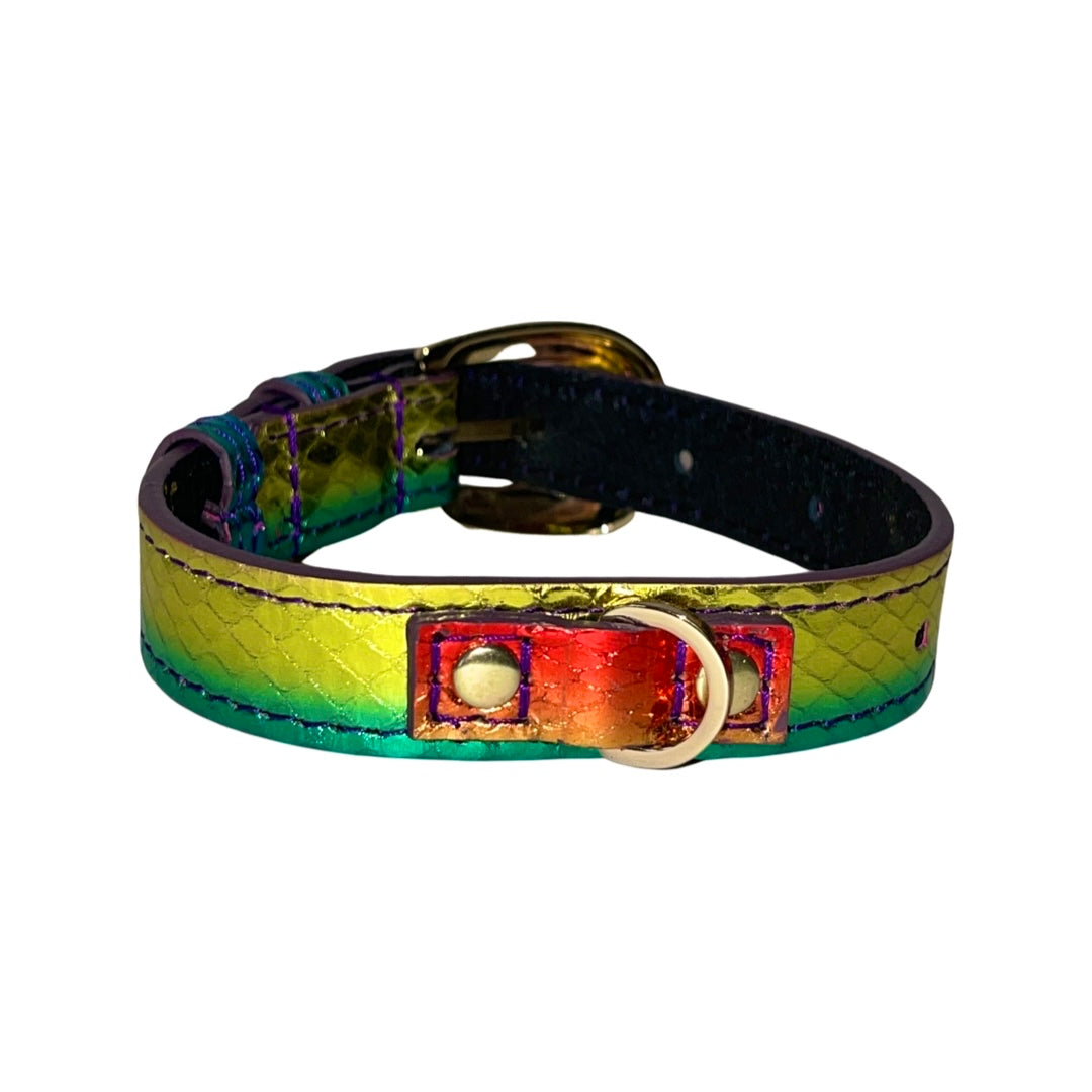 Allysa Payne XS/S 7"-14" Yellow/Green/Red Custom Snake Dog Collar/Custom Gold Italian Hardware