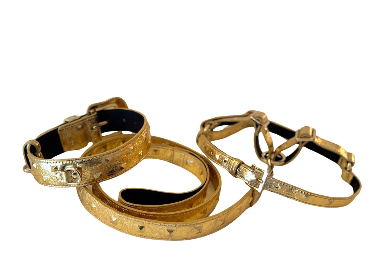 Allysa Payne Glam Gold Embossed Studded Italian Leather With Our Custom Swarovski Crystal Buckle Dog Collar, Leash & Harness Set