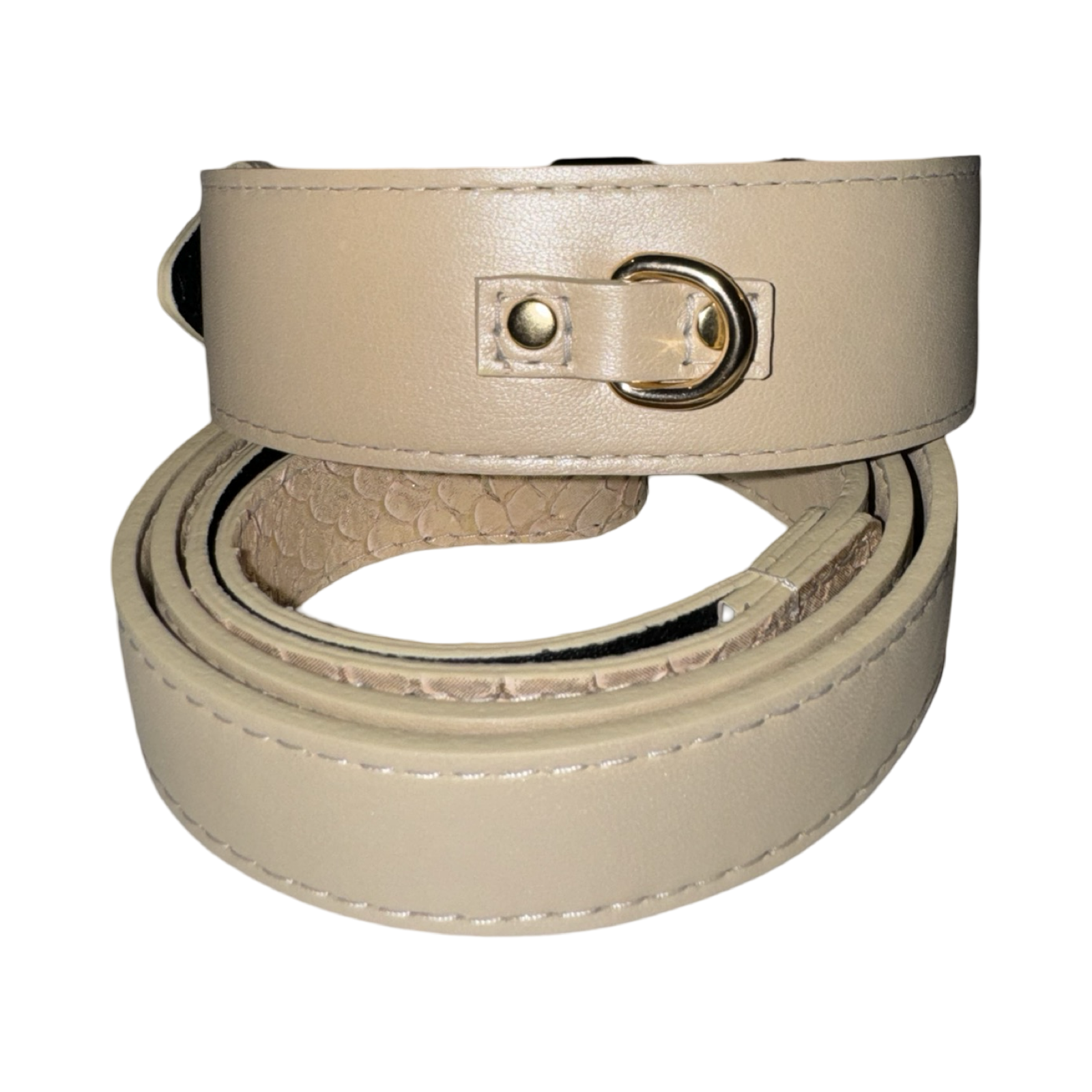 Allysa Payne Hollywood Glam Classic Dog Collar