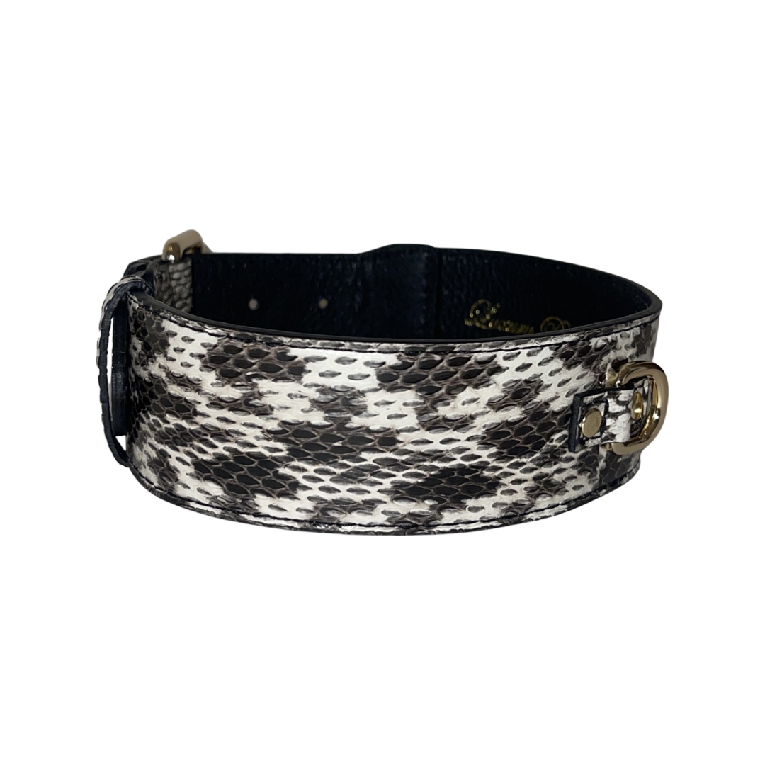 Allysa Payne White & Black Classic Snake Dog Collar