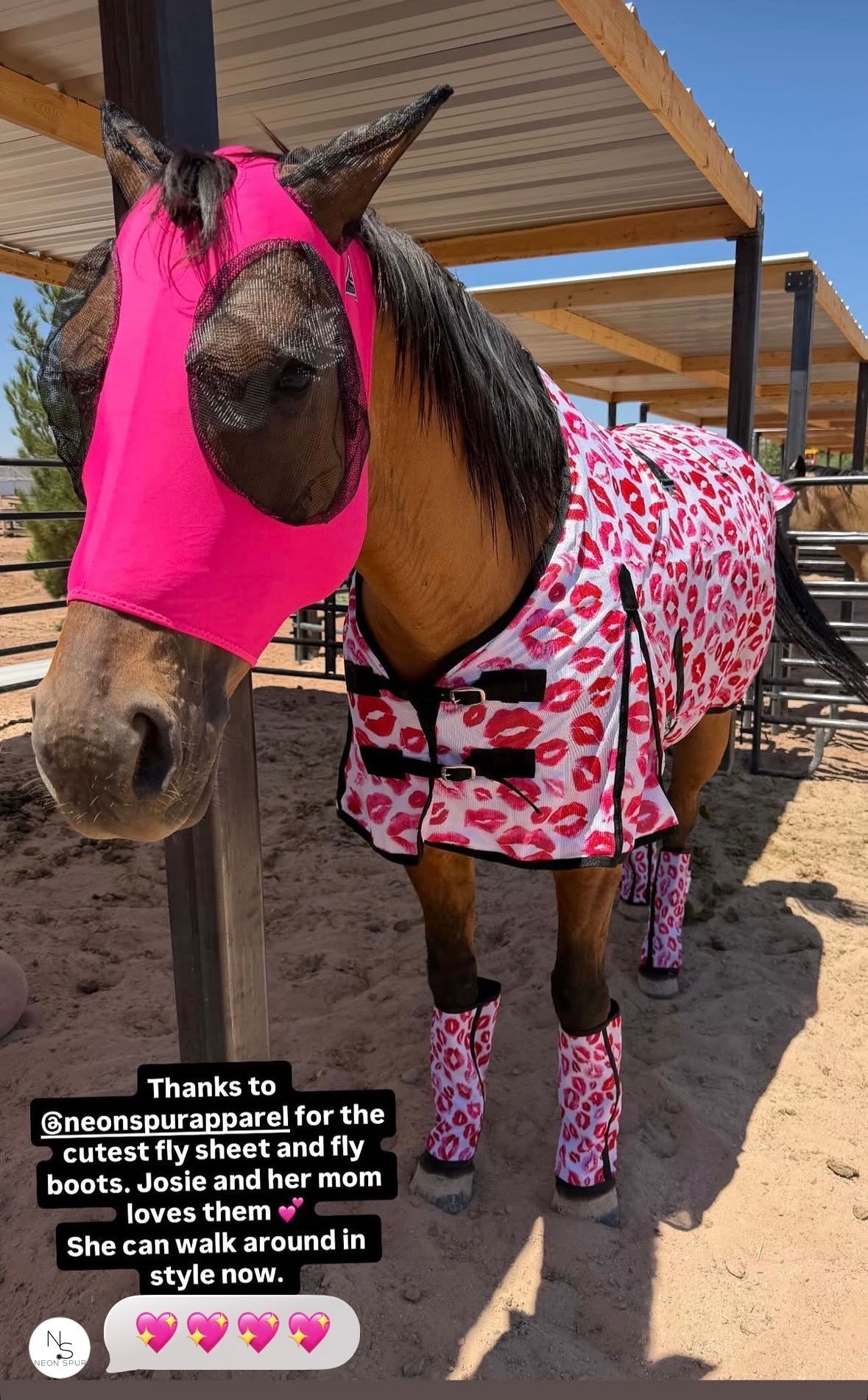 Smooch Premium Mesh Fly Sheet w/ Removable Neck Cover