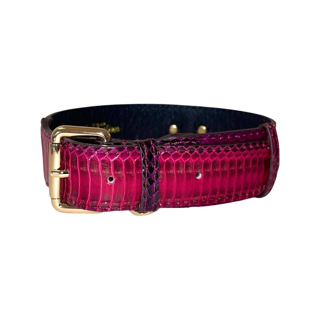 Allysa Payne Ruby Red & Purple Snake Classic Dog Collar