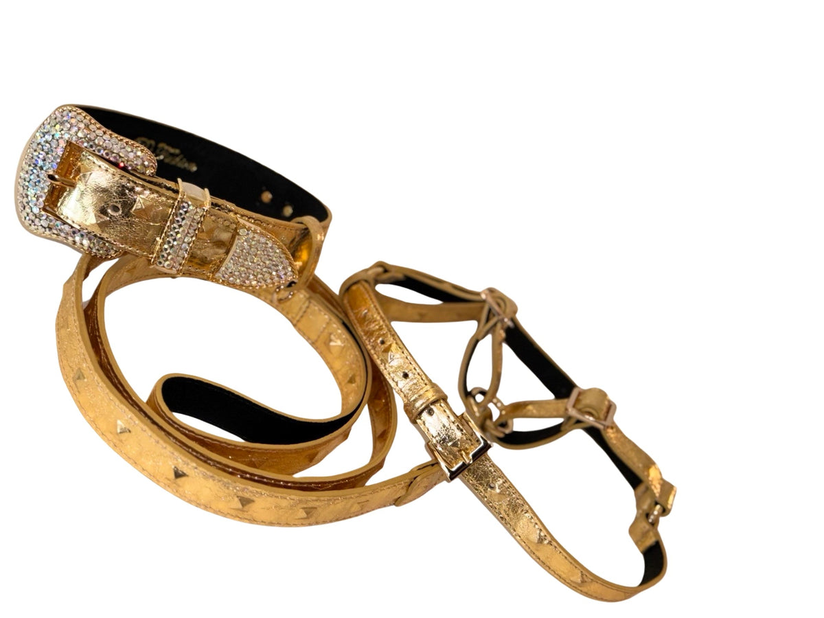 Allysa Payne Glam Gold Embossed Studded Italian Leather With Our Custom Swarovski Crystal Buckle Dog Collar, Leash & Harness Set
