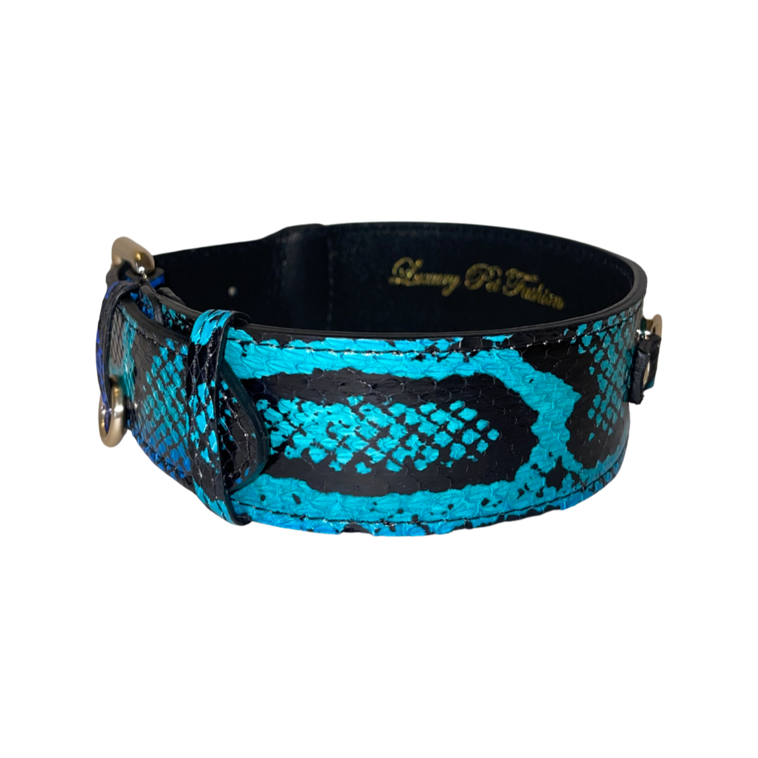Electric/Turquoise Blue & Black Snake Classic Collar With Gold Classic Hardware