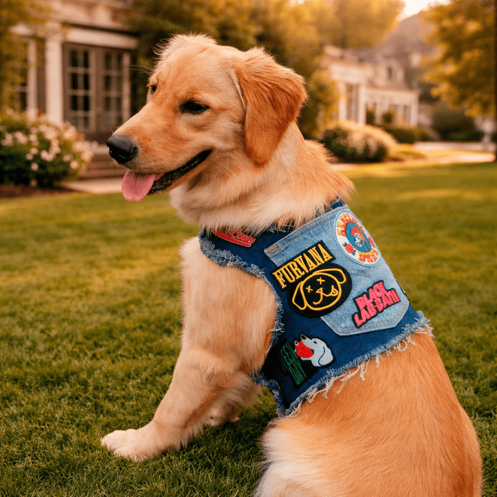 Heads or Tails Pup Ruff & Roll Denim 13 Oz. Double Denim American Heritage Craft Dog Harness