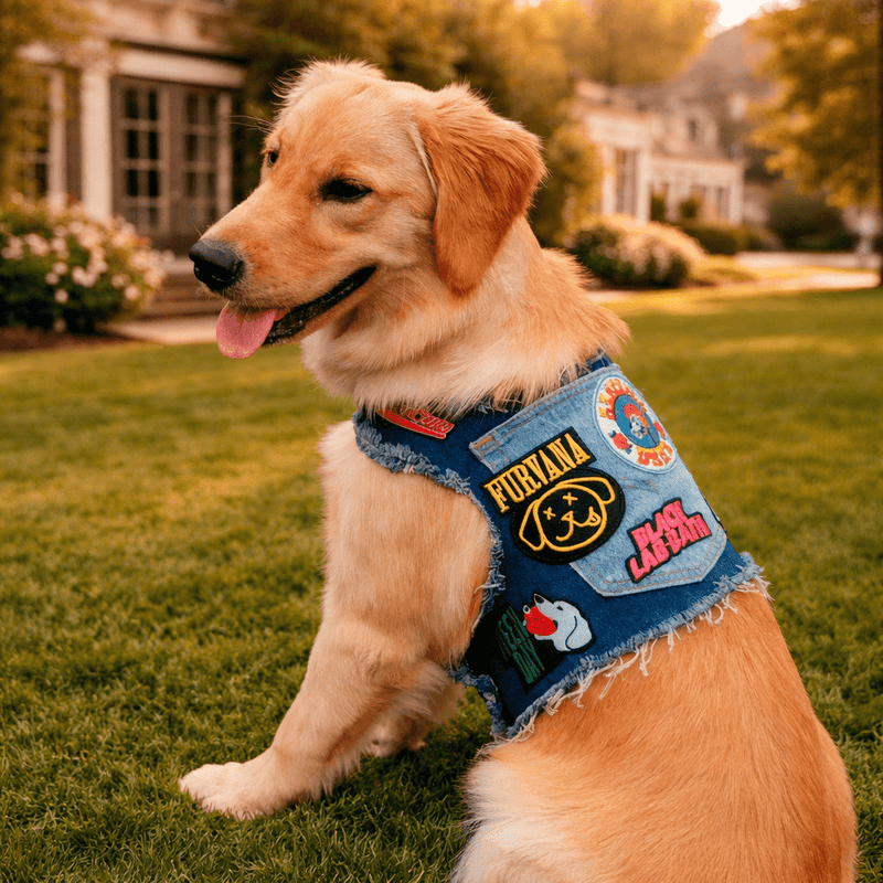 Heads or Tails Pup Ruff & Roll Denim 13 Oz. Double Denim American Heritage Craft Dog Harness