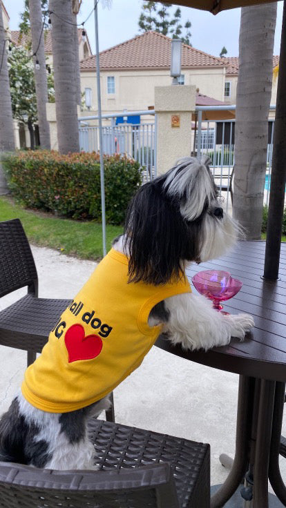 Parisian Pet Big Heart Slogan Dog T-Shirt-Yellow