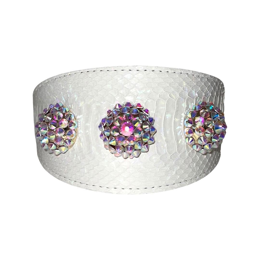 Allysa Payne Matte White 3-Inch Wide Style , With Our Custom Swarovski Rivets Dog Collar & Leash Set